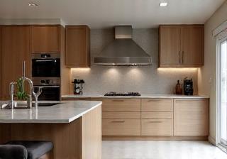 Luxury kitchen with seamlessly integrated appliances